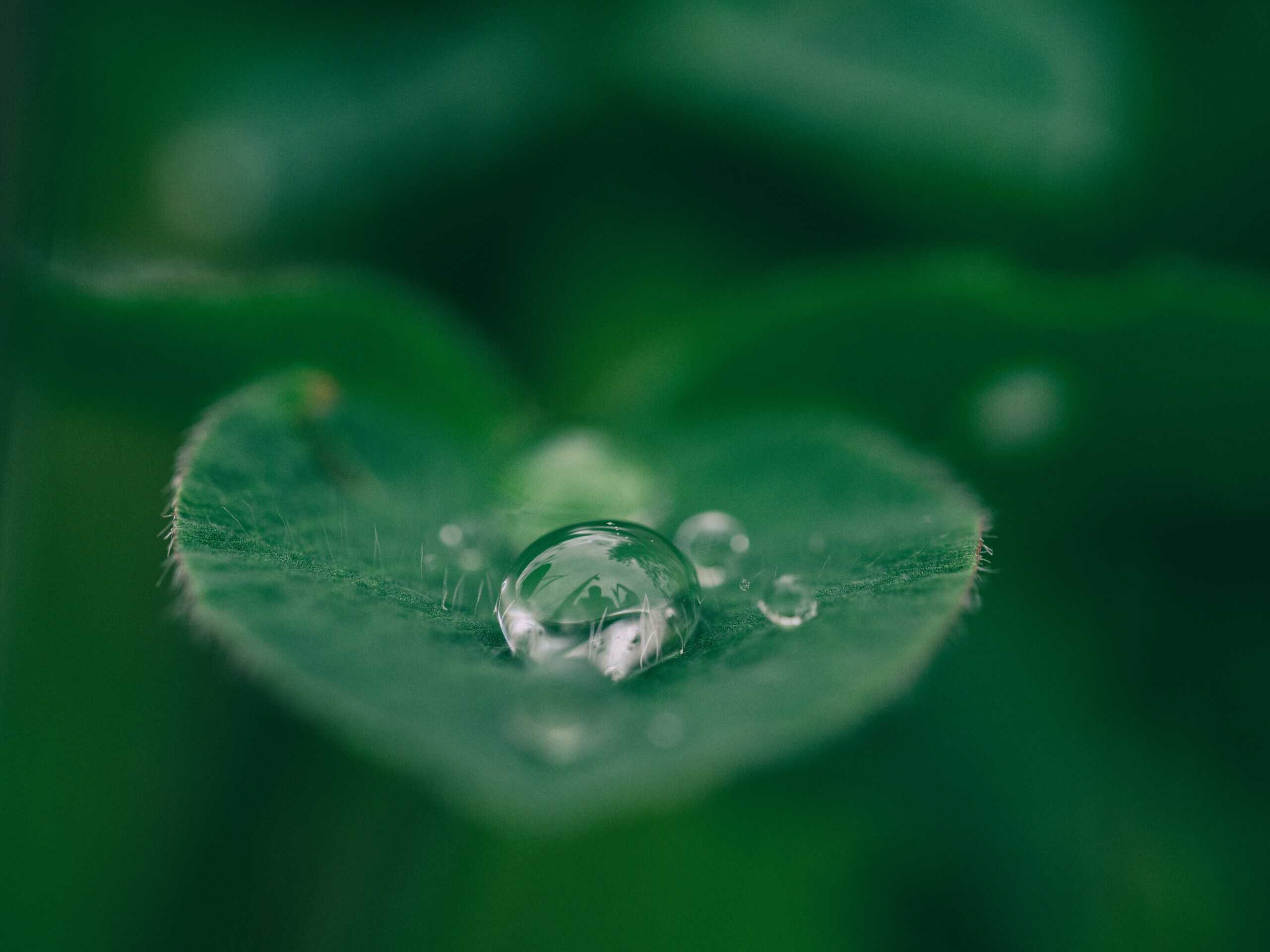About Us 5 aaron burden dXYE1d08BiY unsplash scaled